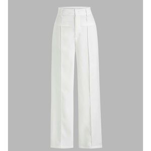 Dress Pant and Cropped shirt